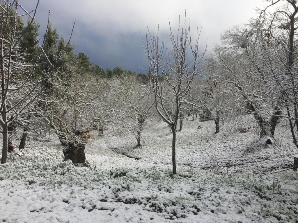 Viviendas Rurales Del Robledo Castaño del Robledo Kültér fotó